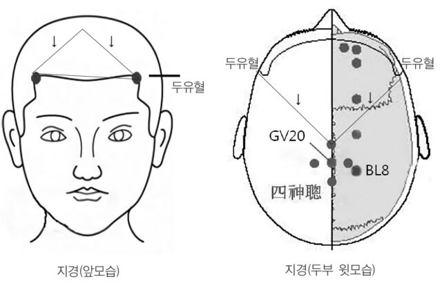 머리숱많아지는법!